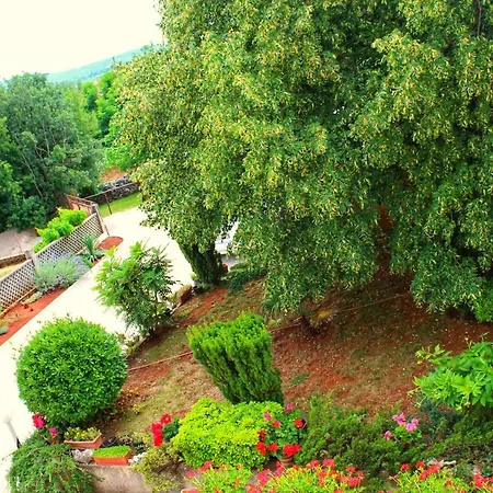 Apartman Amalia